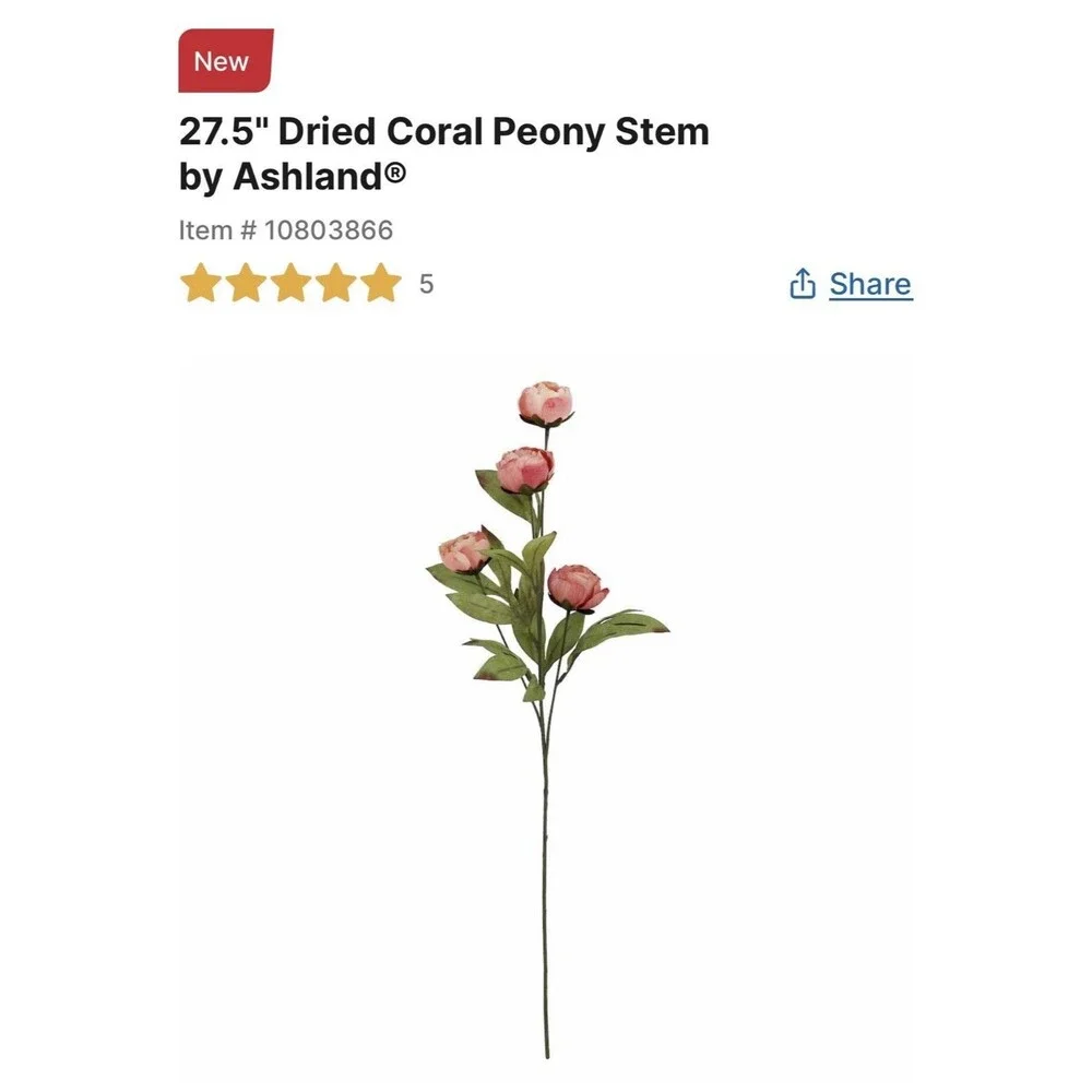 Ashland brand new